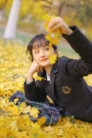 电视剧康熙王朝