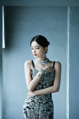 杨辰秦惜不败战神