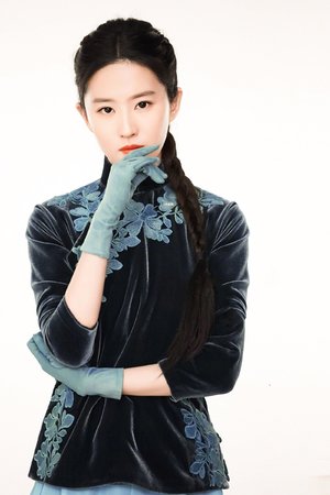 蝴蝶行动电视剧