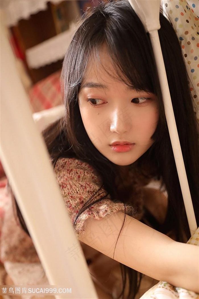 翡翠森林狼与羊