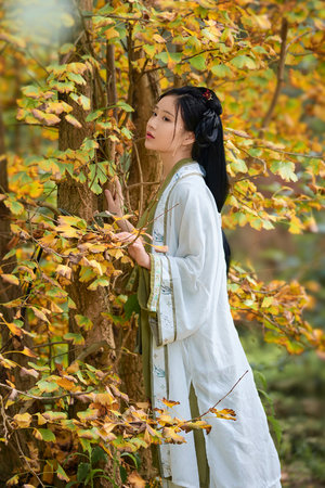 yy4138影院旧里番