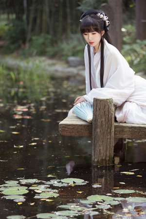 学院金银花露原文免费读书