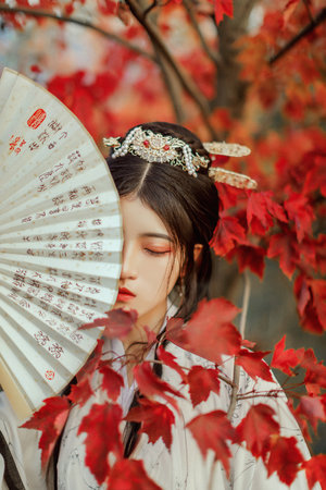 kdbaccapk小蝌蚪下载