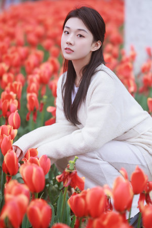 菠萝菠萝蜜