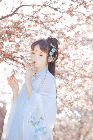 男人的天堂一区二区视频在线观看