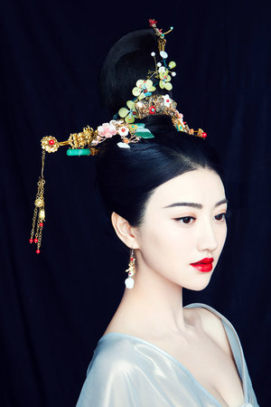秘密访客小说
