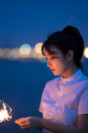 b级文件翻译