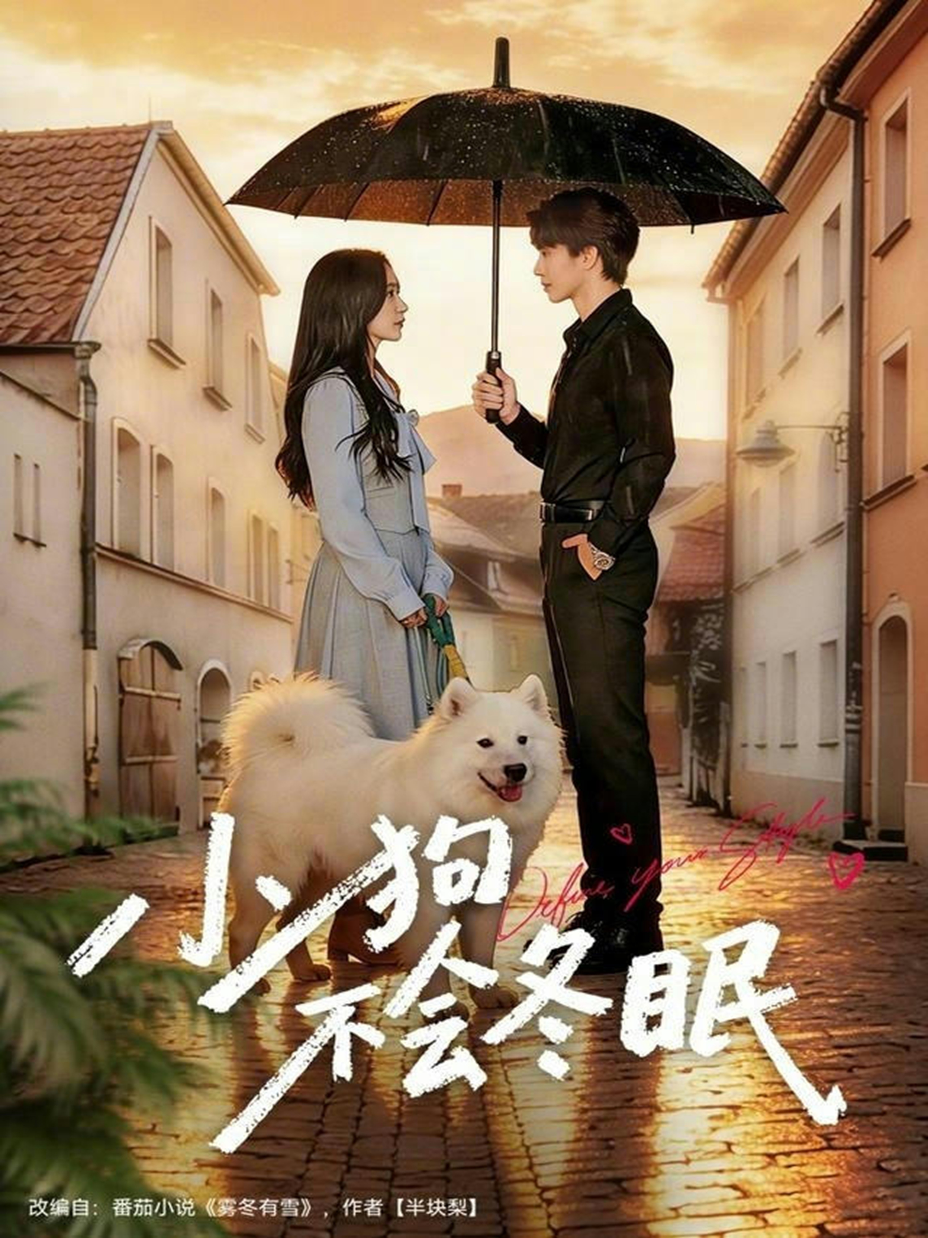 小狗不會(huì)冬眠